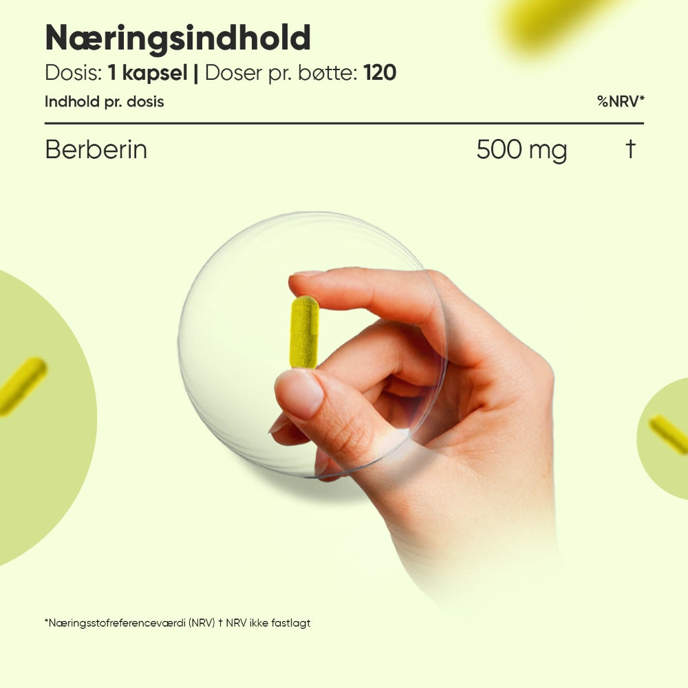 Berberine 500 mg