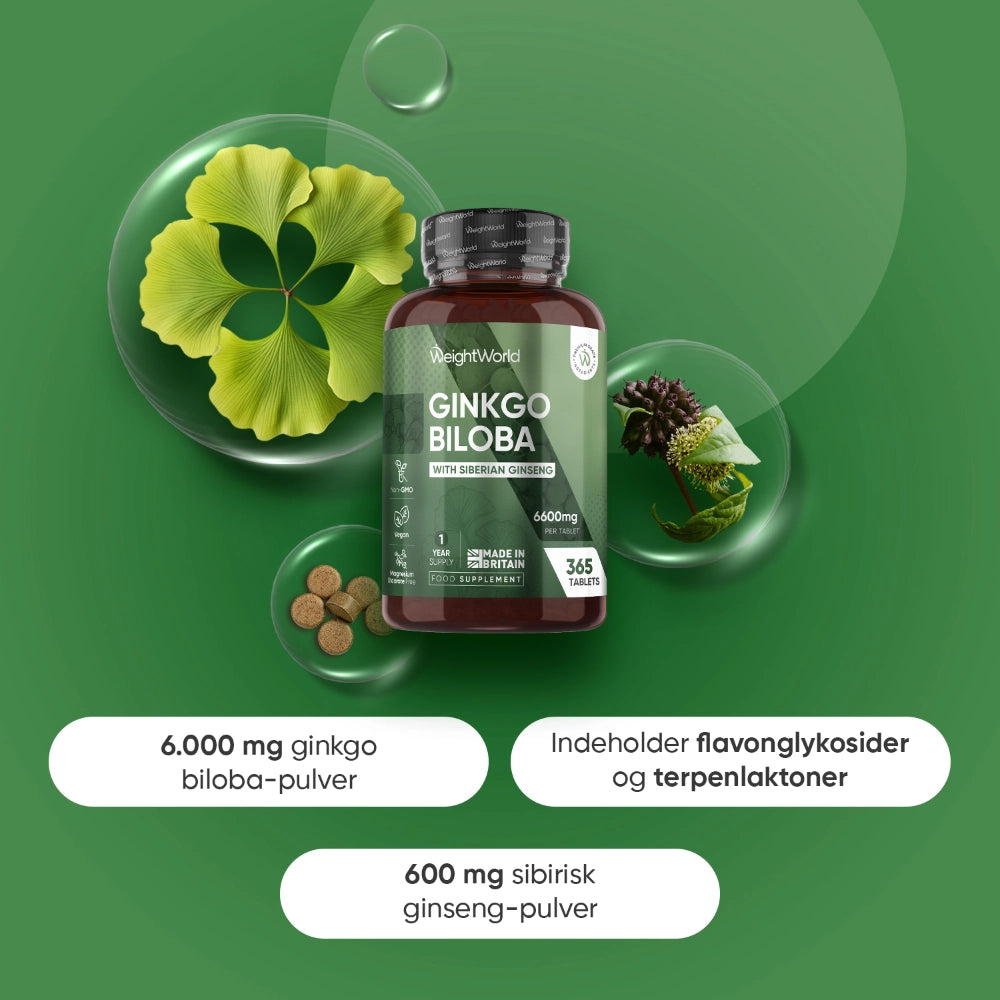 Ginkgo biloba + ginseng 6600 mg