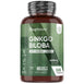 Ginkgo biloba + ginseng 6600 mg