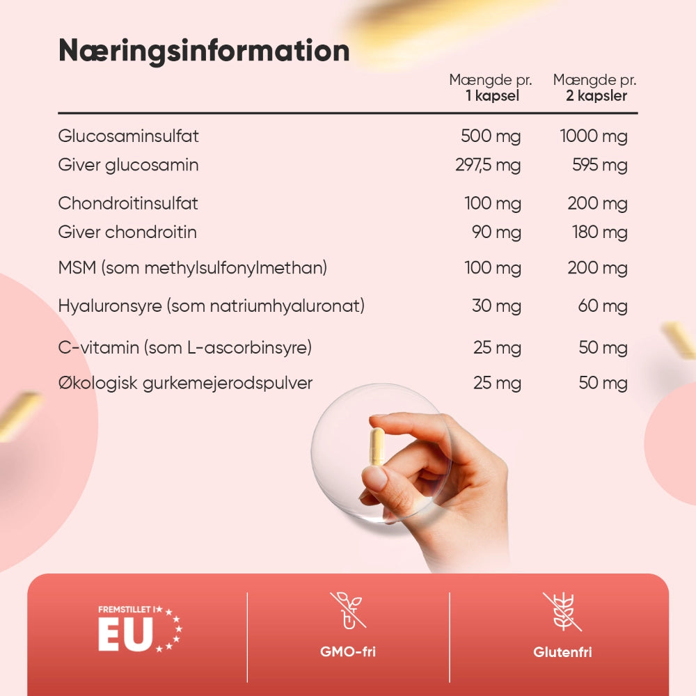 Glucosamin, Chondroitin & MSM