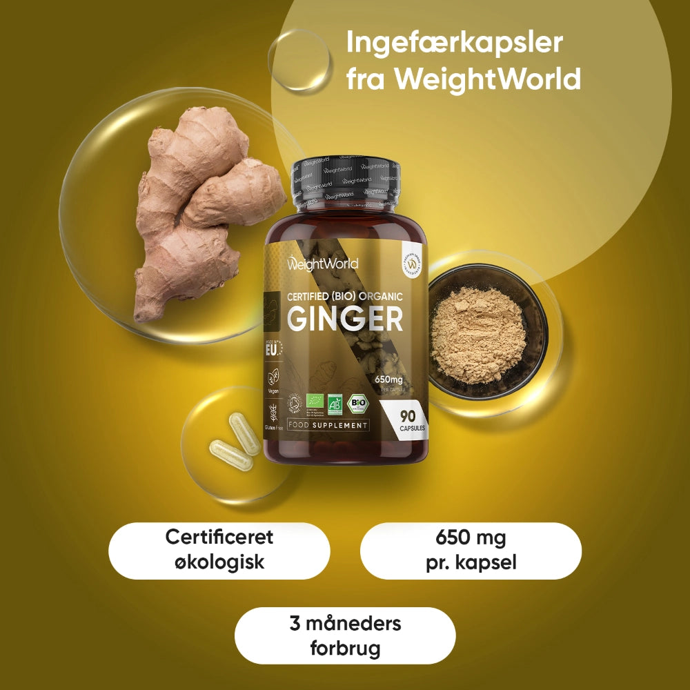 Økologisk ingefær 650 mg