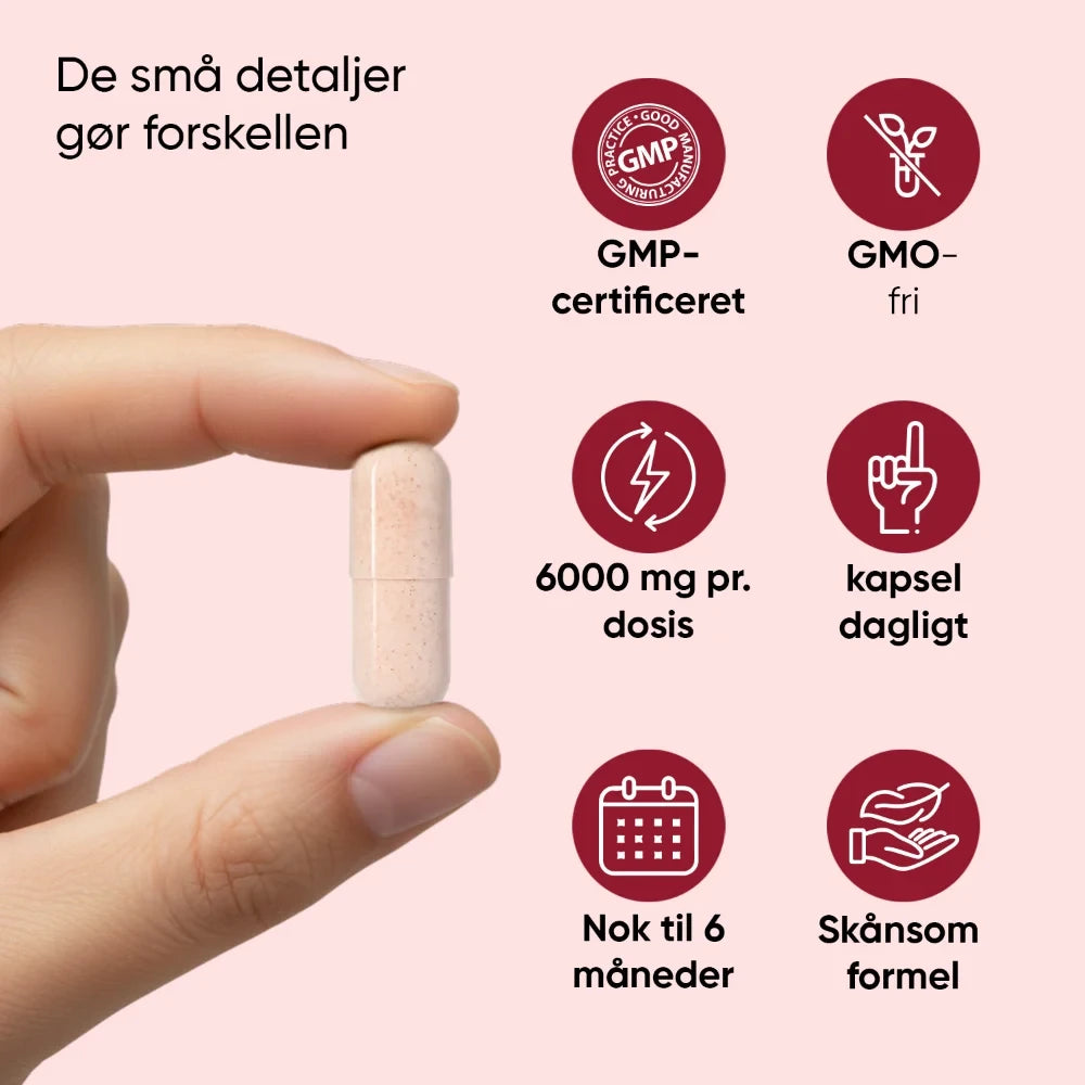 Montmorency surkirsebær 6000 mg